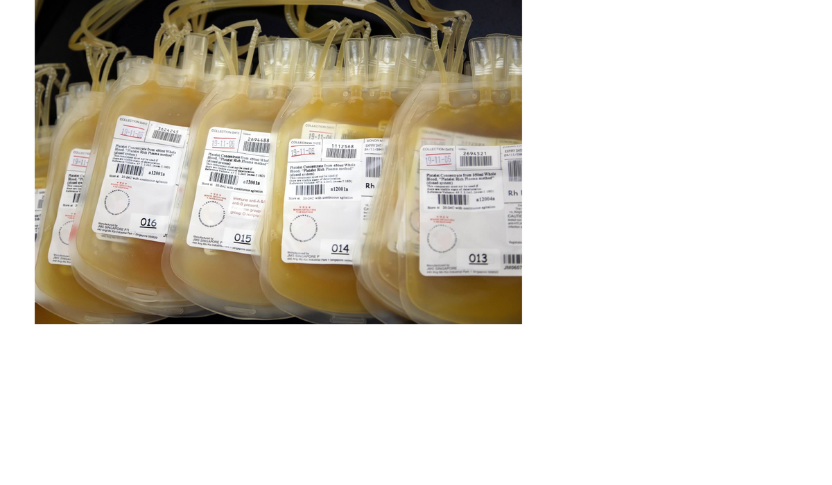 The Benefits of Plasma Donation in Calexico: A Comprehensive Guide